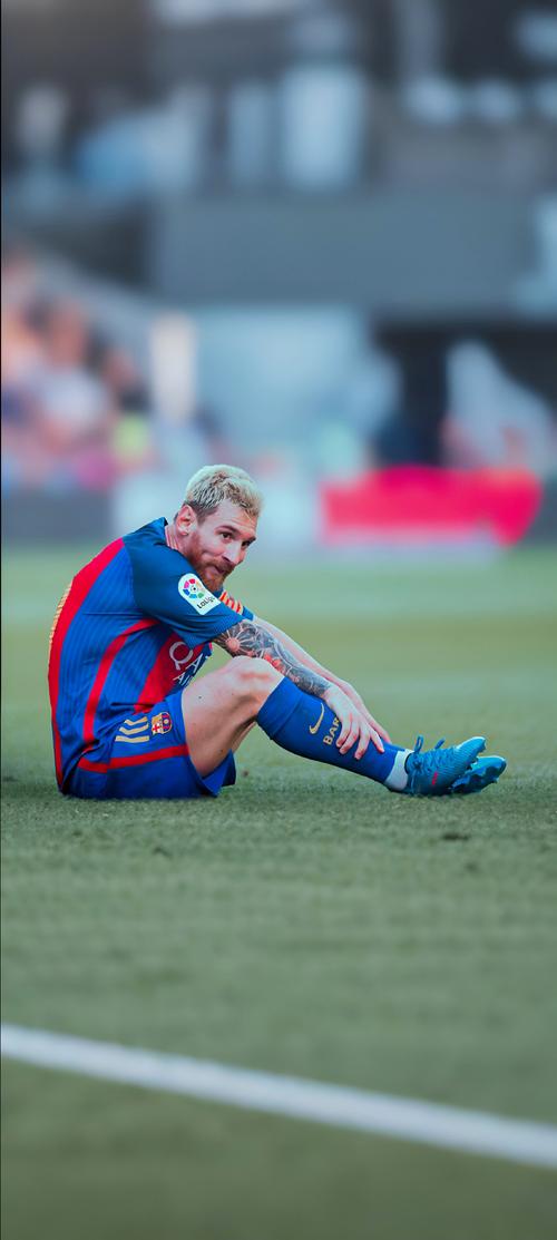 澳超第8轮裁判选派：克尔西执法西悉尼vs狮吼，埃文斯在列（澳超第8轮裁判安排：克尔西吹罚西悉尼战狮吼，埃文斯入选）